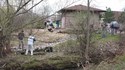 Winton Rain Garden (17)